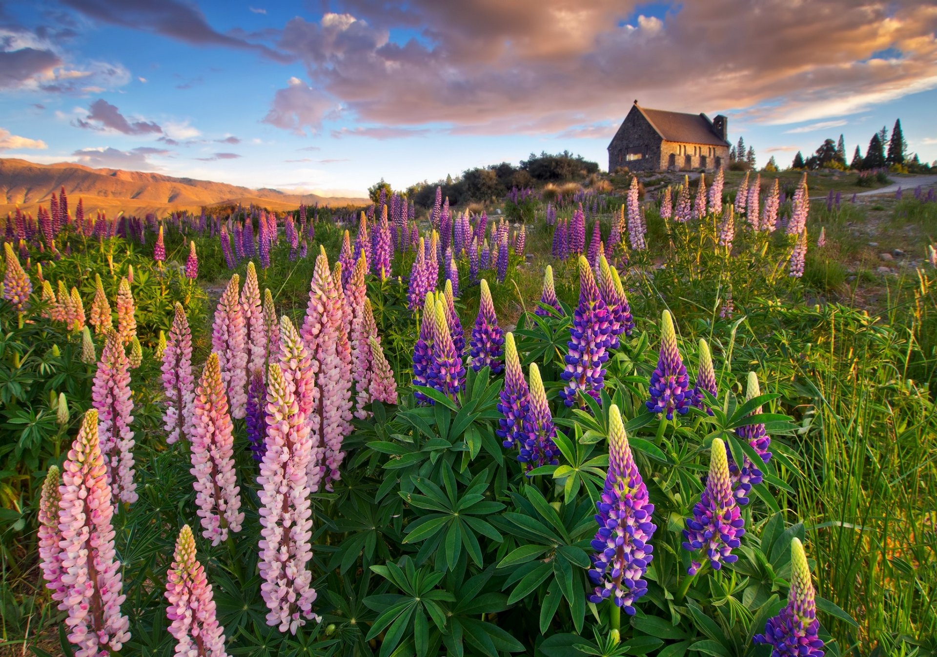 house meadow flowers sky clouds road landscape view nature colors view