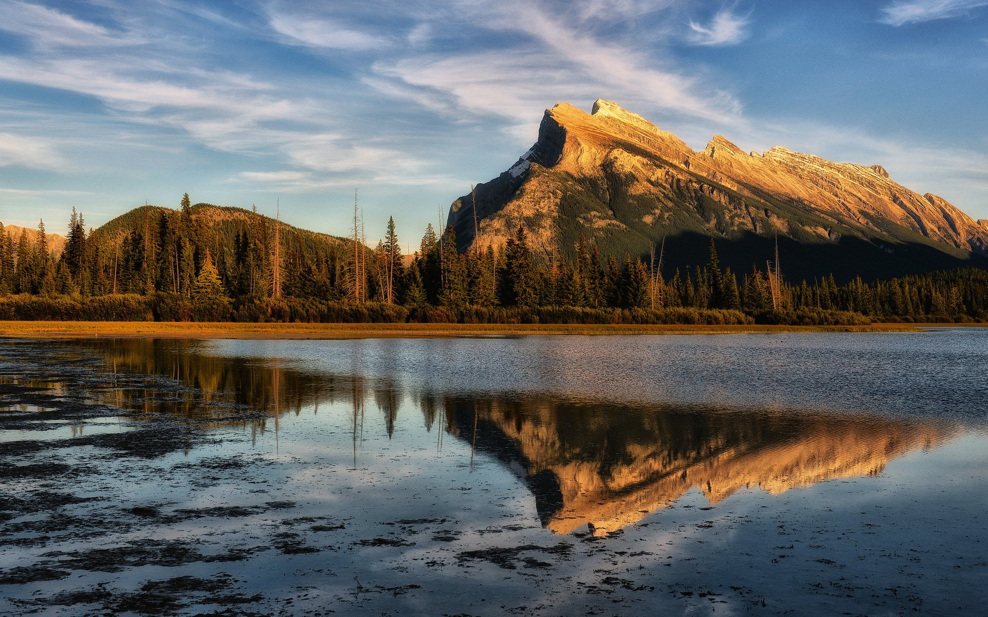 tardi light vermilion alberta canada