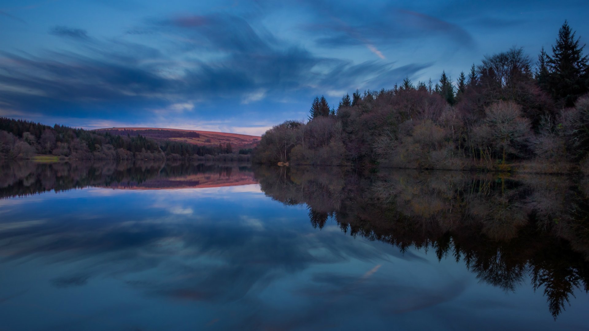 reino unido inglaterra embalse parque nacional bosque árboles noche azul cielo nubes reflexión naturaleza
