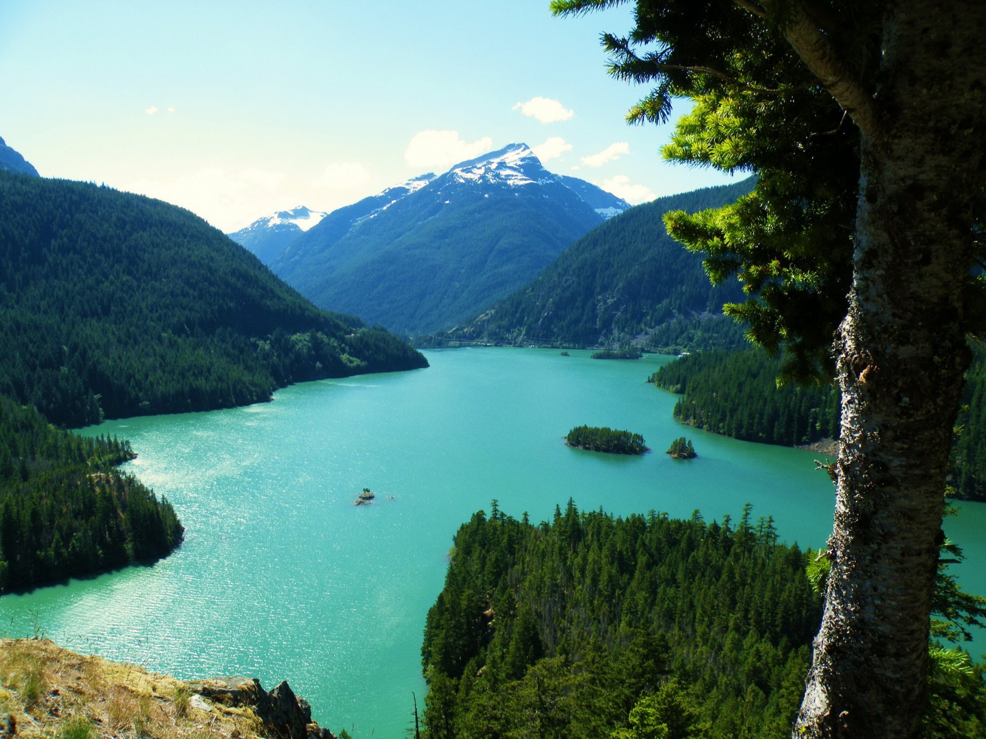 see usa berge landschaft washington diablo stamm bäume oben natur foto