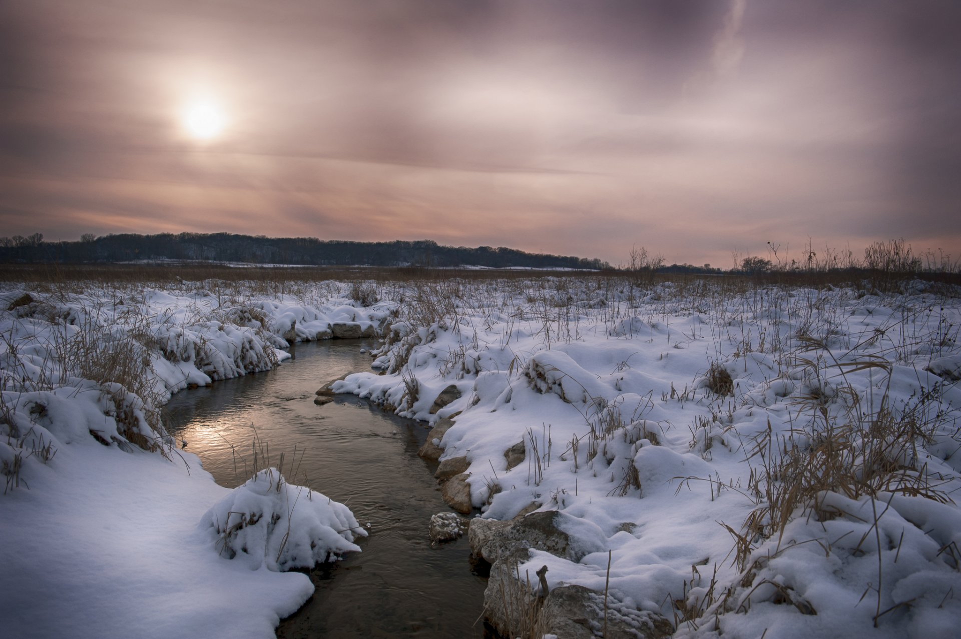 pole las rzeka śnieg zima