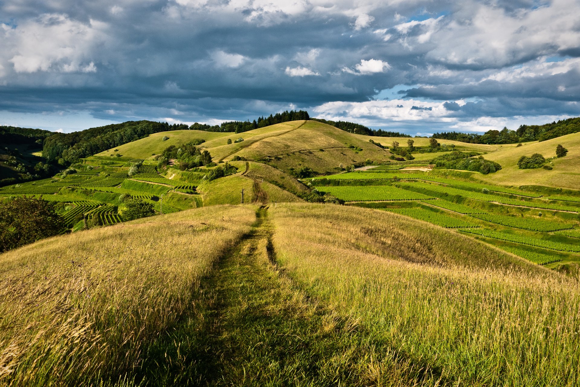 ky clouds hills forest road nature meadow gra