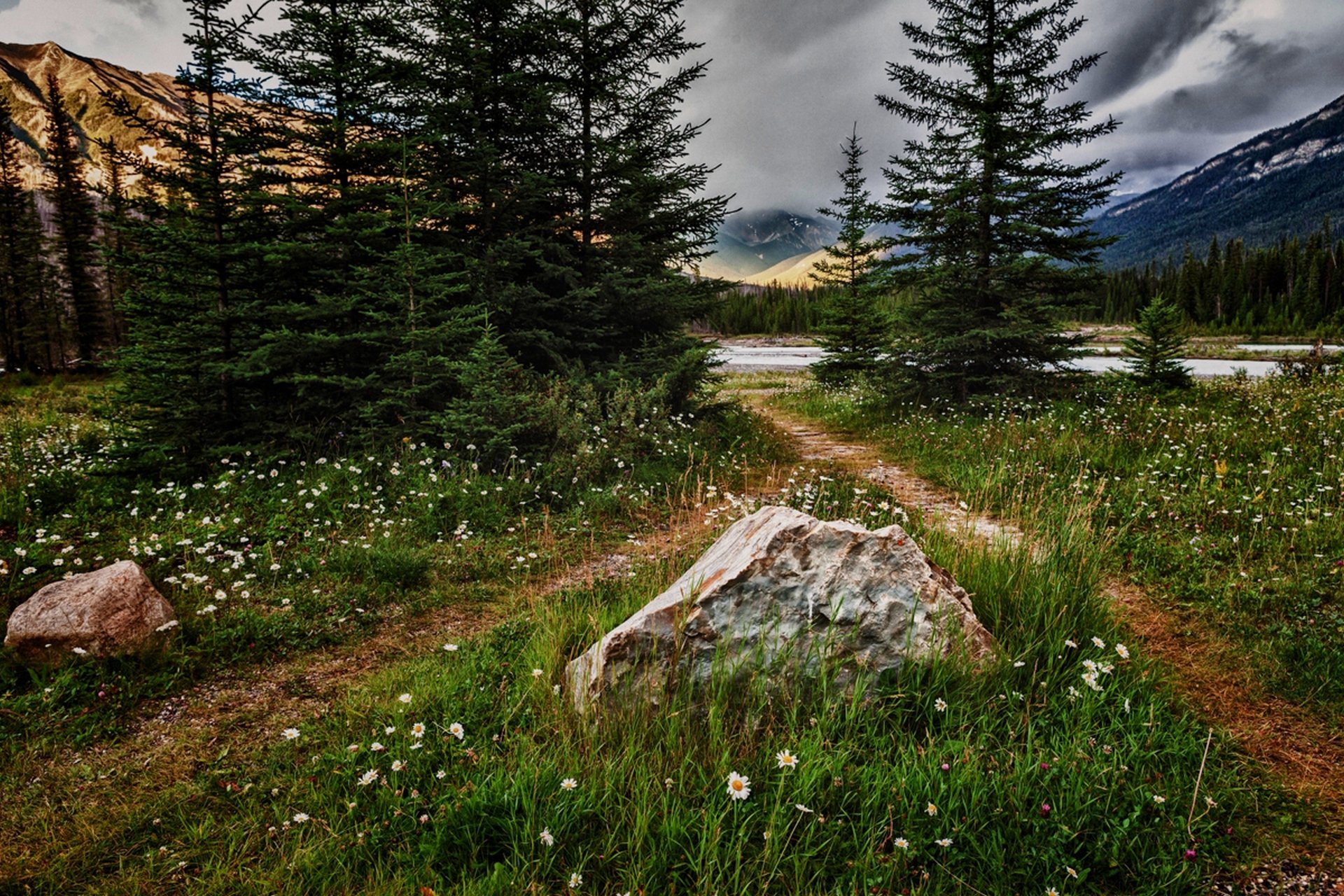 naturaleza montañas flores paisaje hierba árboles cielo nubes navegar bosque