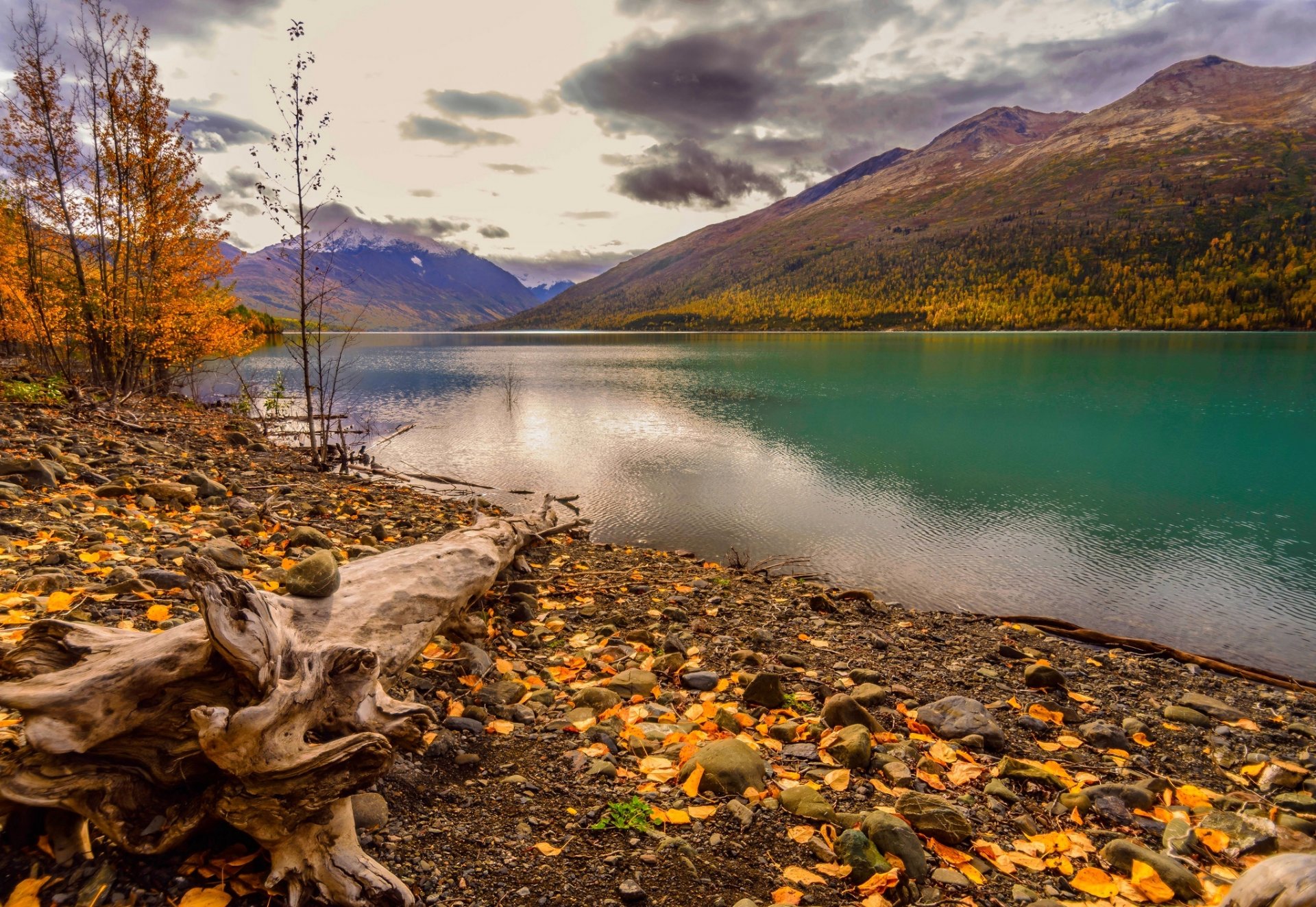 nature montagnes ciel nuages rivière eau forêt parc arbres feuilles coloré automne automne couleurs marche