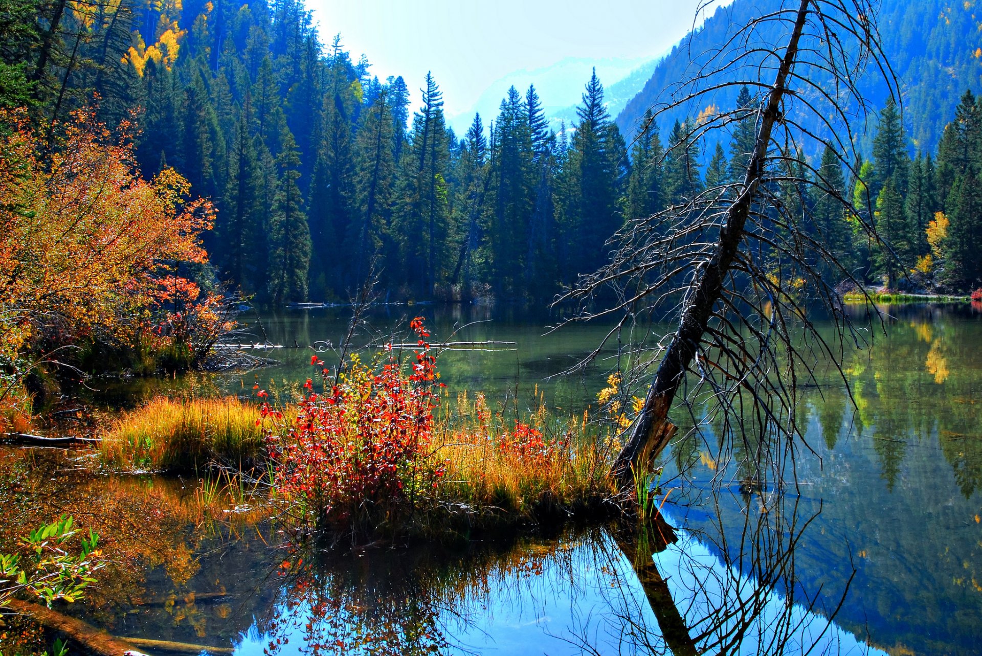 landschaft schönheit natur see wasser. reflexion bäume. blätter. herbst himmel