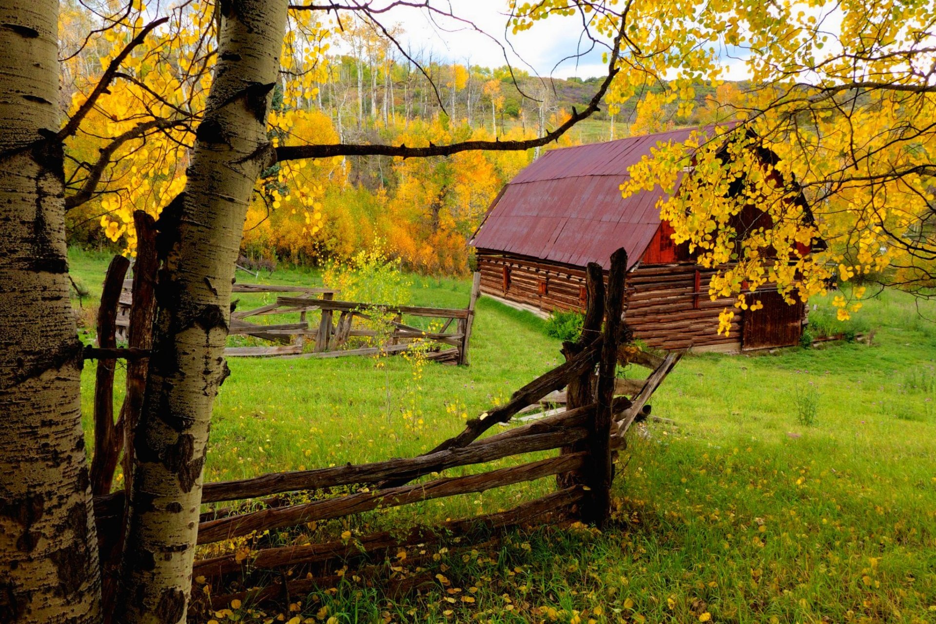 nature house forest trees leaves colorful autumn fall colors walk road