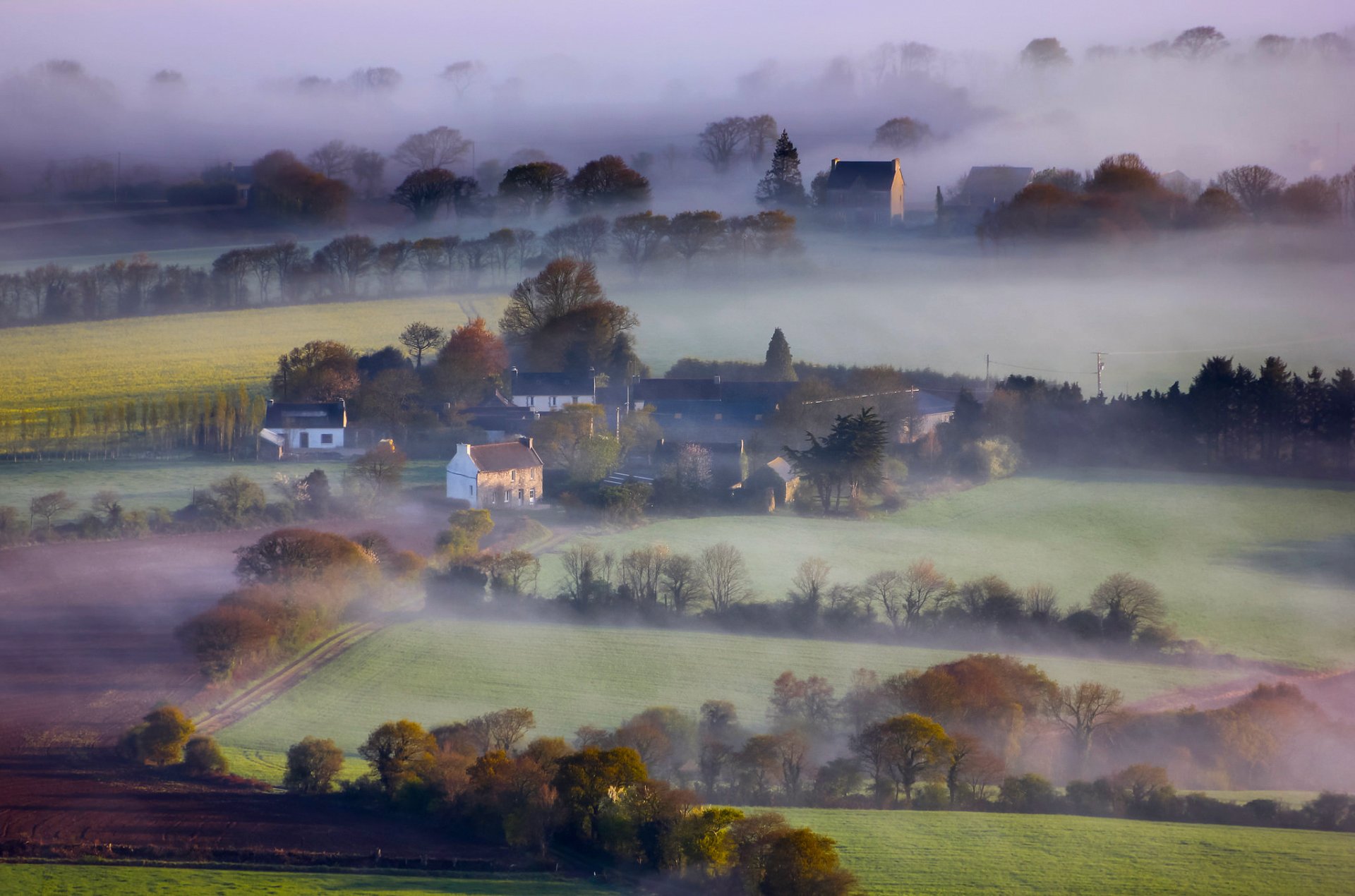 inglaterra casas campos árboles niebla