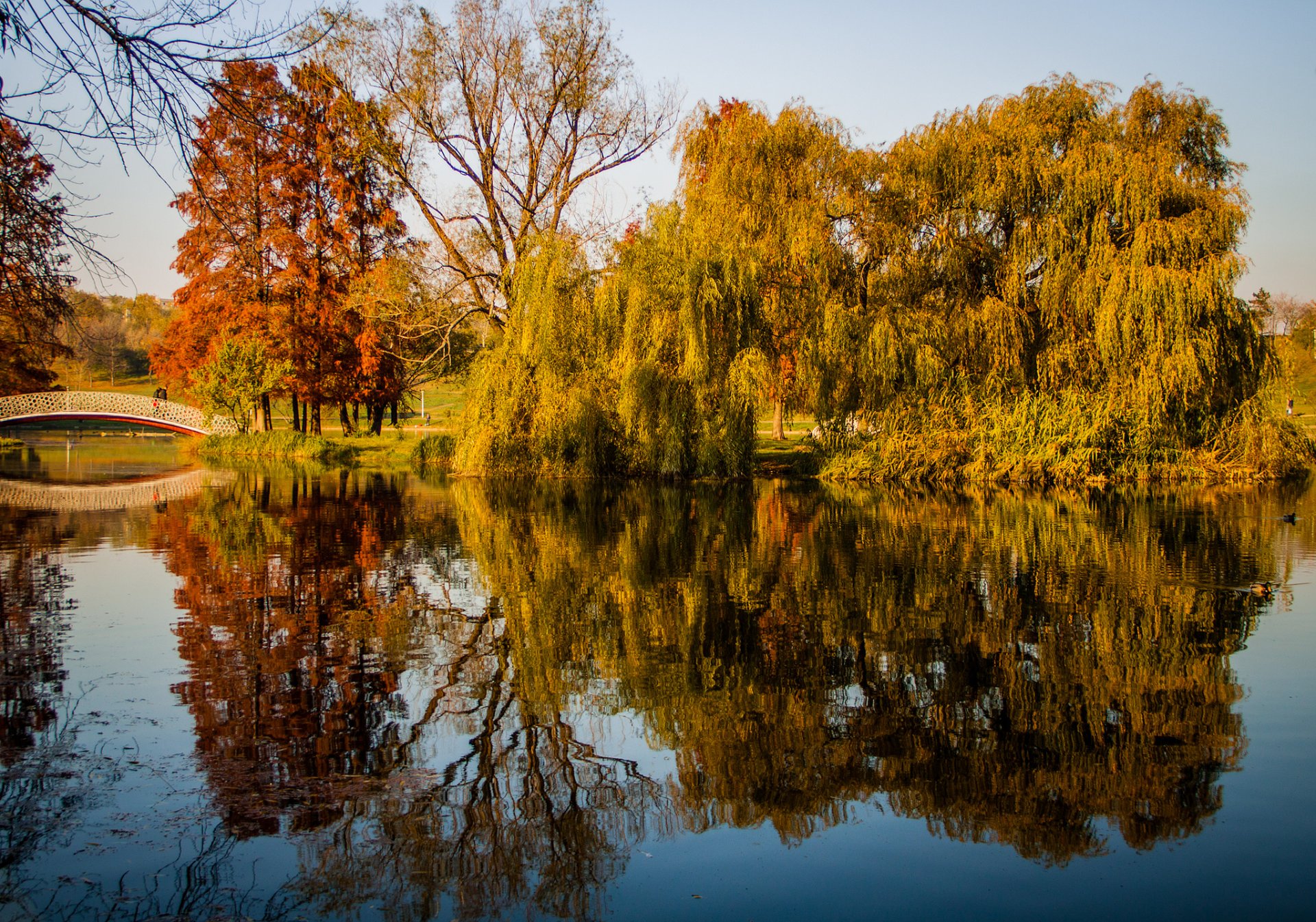 parc étang arbres automne