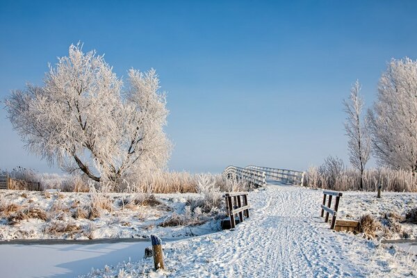 Frosty morning on the bridge