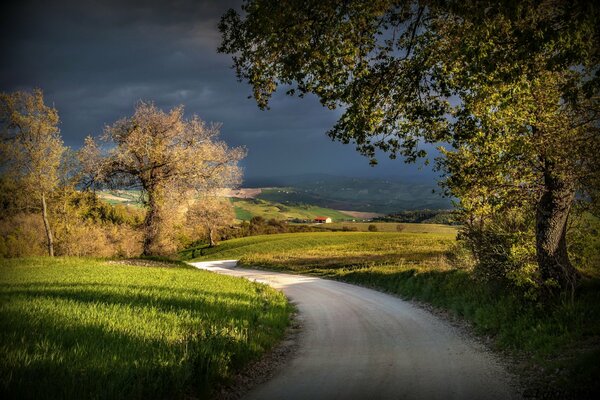Straße zwischen Wiesen und Feldern in Italien