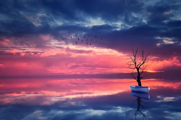 A lonely boat under a tree at a scarlet sunset