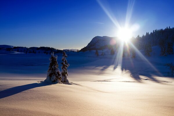 Das Licht eines frostigen Wintermorgens