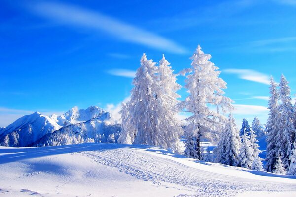 Paesaggio invernale a Nizza
