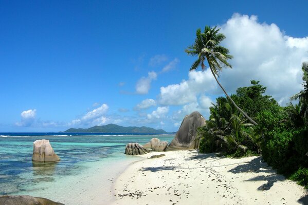 Cloudy sky and sandy beach