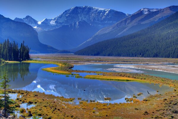 A river in the mountains, in which the forest is reflected