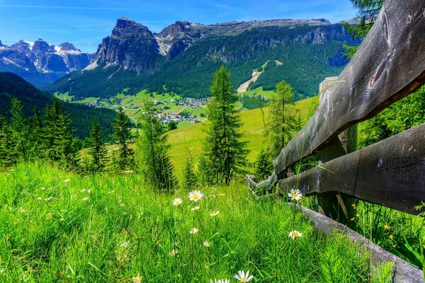 Frühlingsnatur in der Nähe der Berge