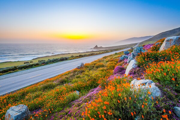 A road running along the curb with flowers