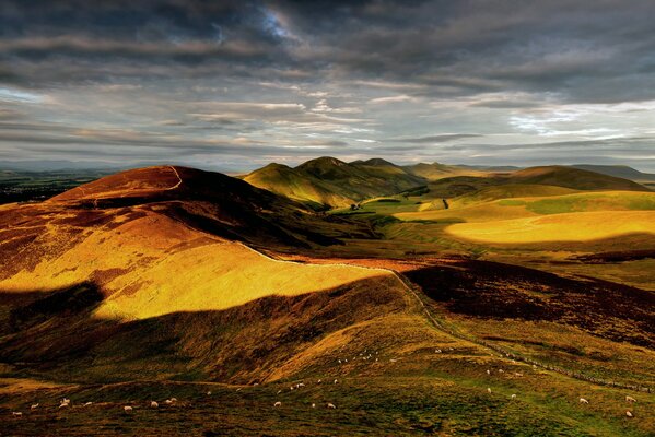 Moutons paissent parmi les collines en Angleterre