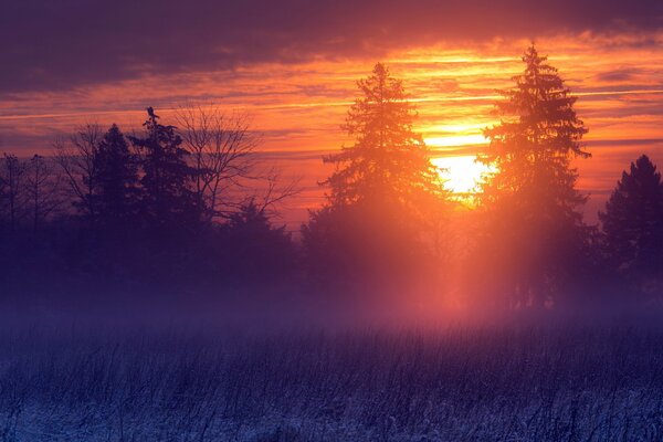 Puesta de sol en el bosque en invierno