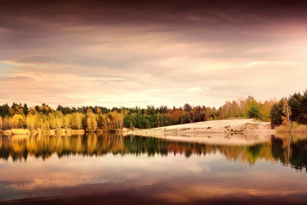 The mirror image of trees in the water. Germany