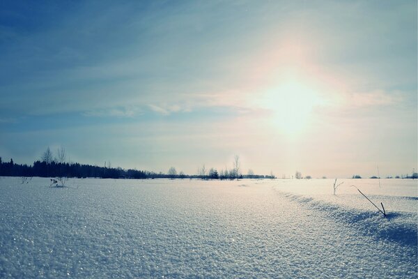 Snow glistening at dawn