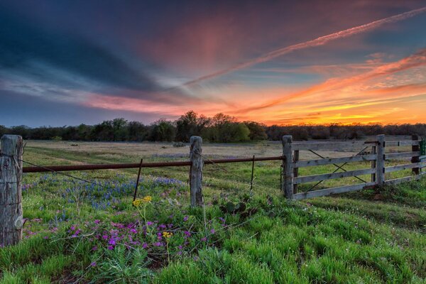 Beautiful sunset on a field with a fence