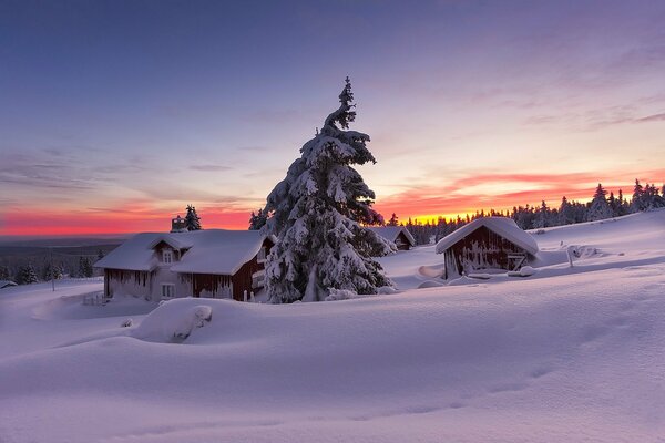 Paesaggio natura neve bel tramonto