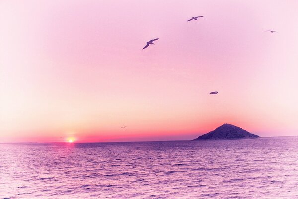 Paesaggio. Alba Rosa. Uccelli nel cielo