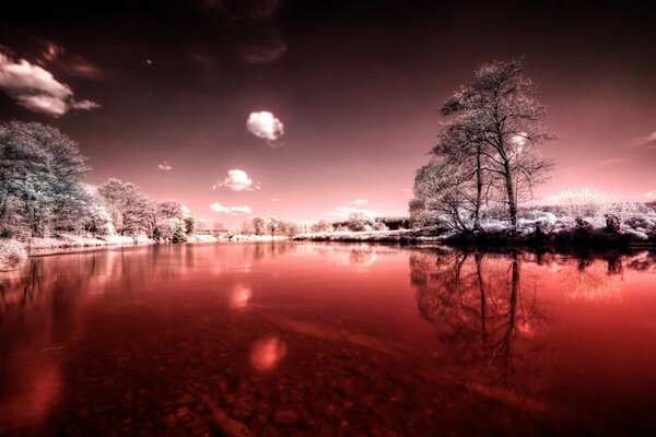 Paisaje de un lago cubierto de nieve en el bosque
