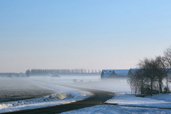 Foto di nebbia invernale strada campo