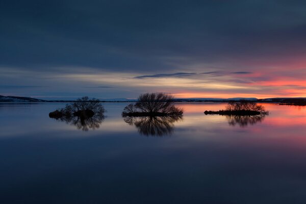 Les arbres se reflètent dans le lac clair au coucher du soleil