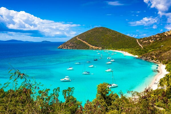 The blue Sea is the best medicine