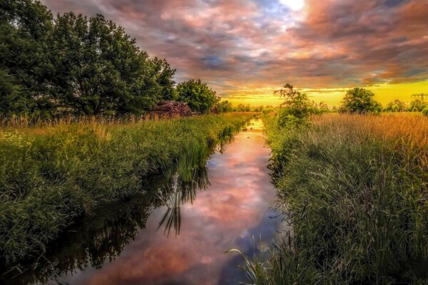 Beautiful landscape river in the forest