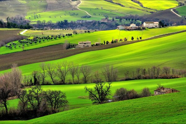 Colline in Italia. Erba e campi