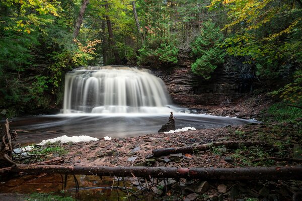 Waterfall in a picturesque green forest