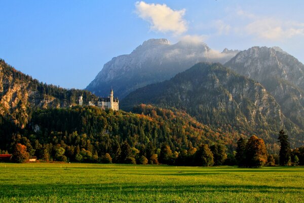 Dal Monte Schwangau, situato in Germania, puoi osservare la natura chic:foresta, nuvole e visitare il Castello
