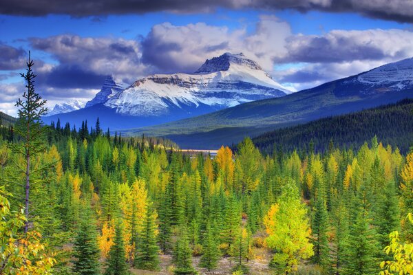 Beau paysage du parc National Banff