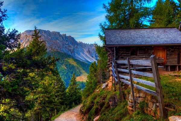 Casa in mezzo alla natura colorata