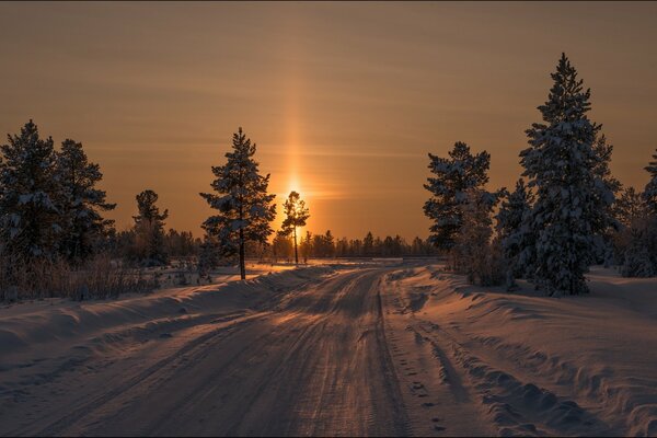 Favoloso tramonto invernale con abeti