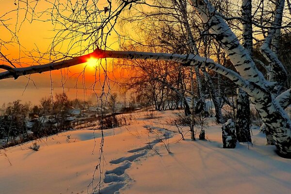 Nature nice sunset sky