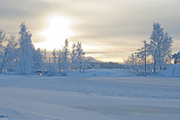Trees and roads covered with frosty snow