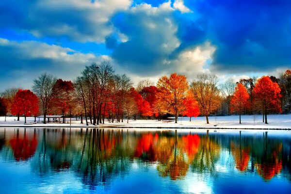 Reflection of trees in Rekisev