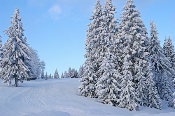 Snow trail to the house