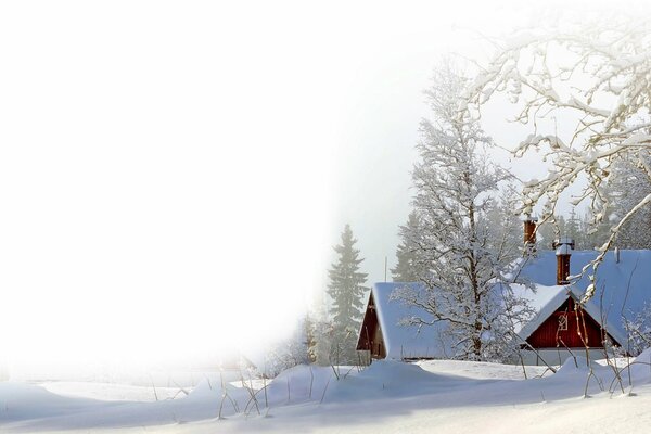 Snow house in the forest of Nice
