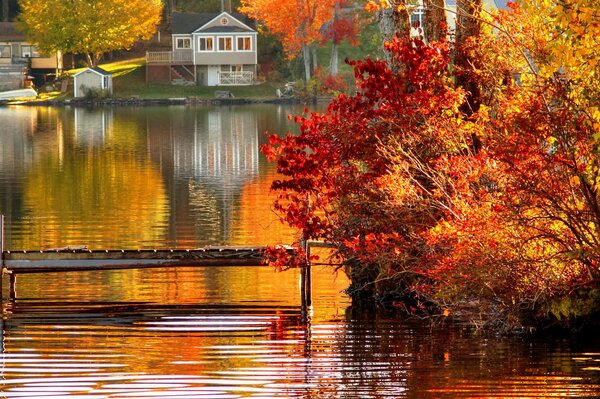 El alboroto del color en el paisaje de otoño