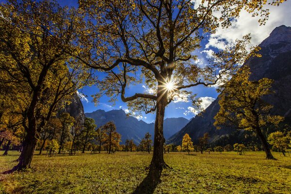 Góry i Drzewa Karwendel jesienią