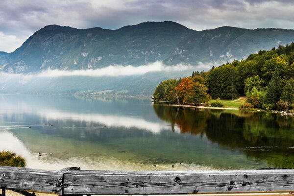 Mountain lake with forest view