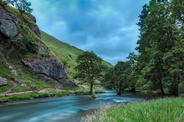 Paysage d été d une rivière de montagne