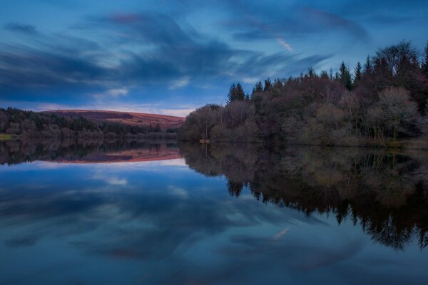 Un ciel bleu et sombre se reflète dans un lac entouré de forêt
