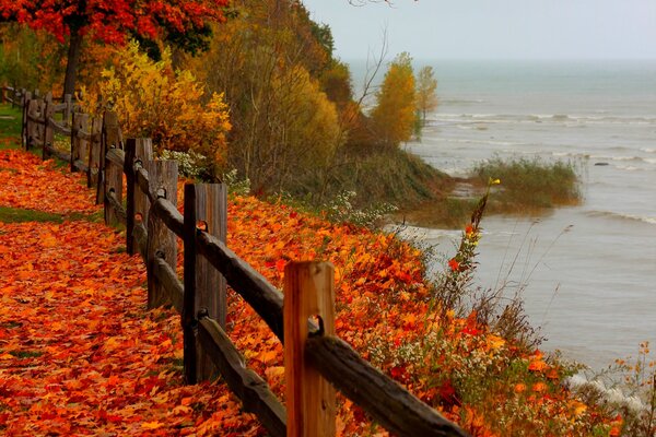 Tristeza de otoño en la orilla roja detrás de la cerca